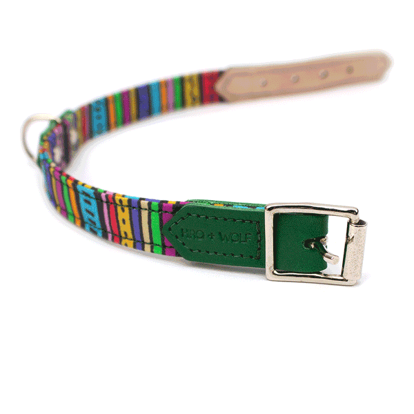 Hiro + Wolf Rainbow Stripe Dog Collar