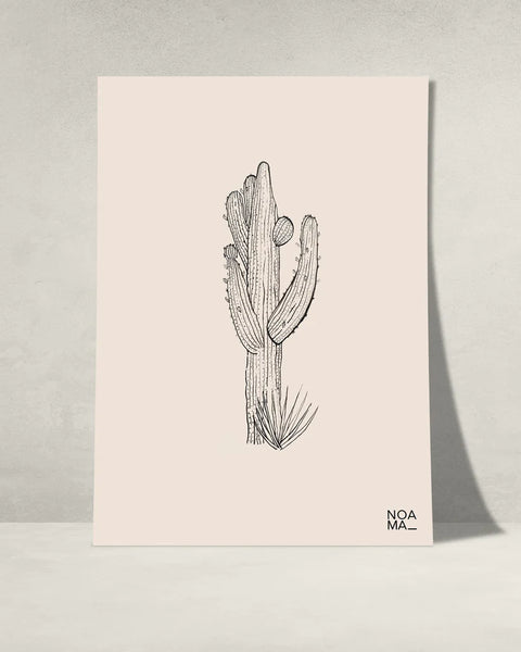 Noama Cactus Art Print