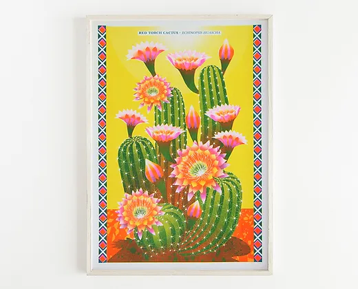 Printer Johnson Cactus Â· Risograph Print A3 Framed Riso Print