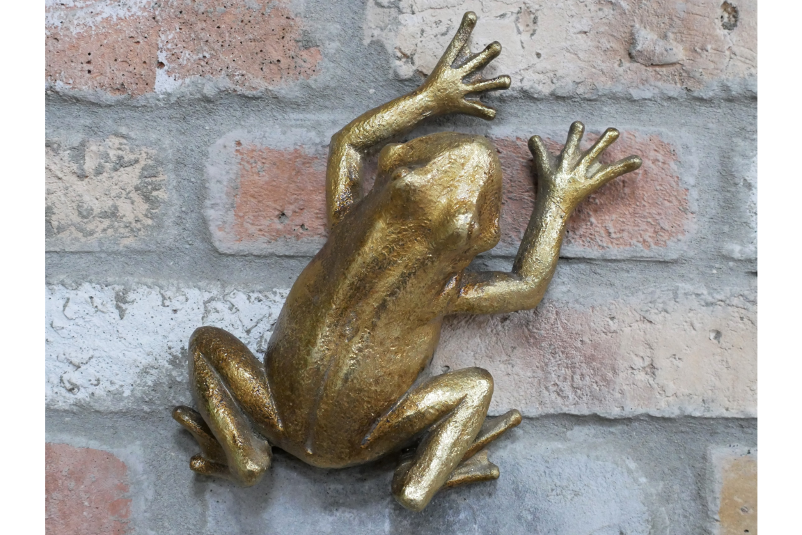 &Quirky Gold Frog Wall Decoration