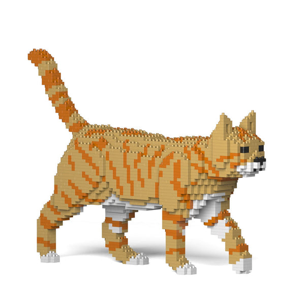 jekca-ginger-walk-cat-03s-m01