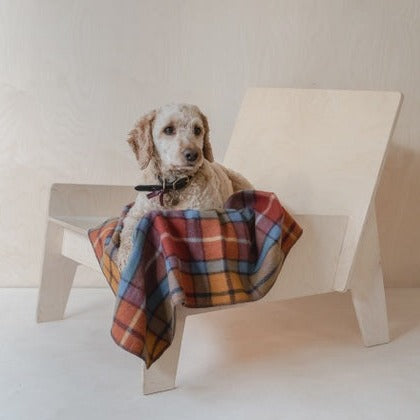 TBCo Recycled Wool Small Pet Blanket In Buchanan Antique Tartan