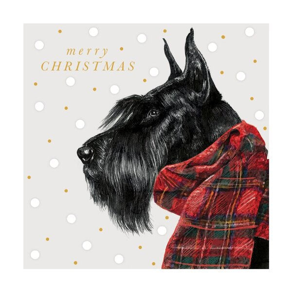 The Art File Christmas Card Pack Scotty Dog