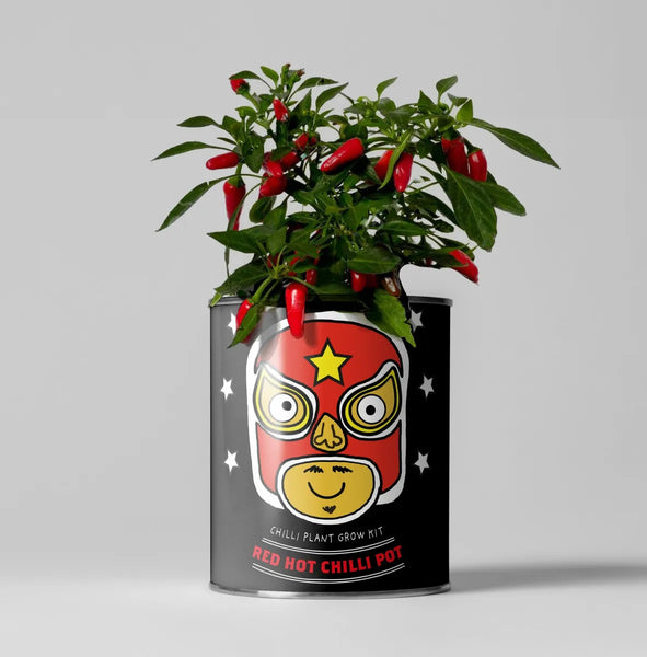 THE PLANT GIFT COMPANY Grow Your Own Plants