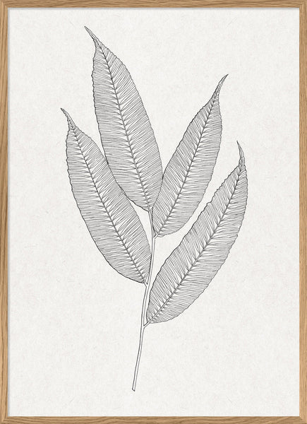 the-dybdahl-co-fern-leaf-print-or-oak-framed