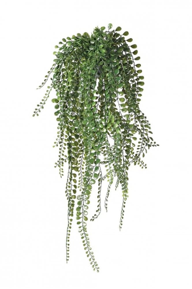 The Home Collection Pea Leaf Hanging Plant