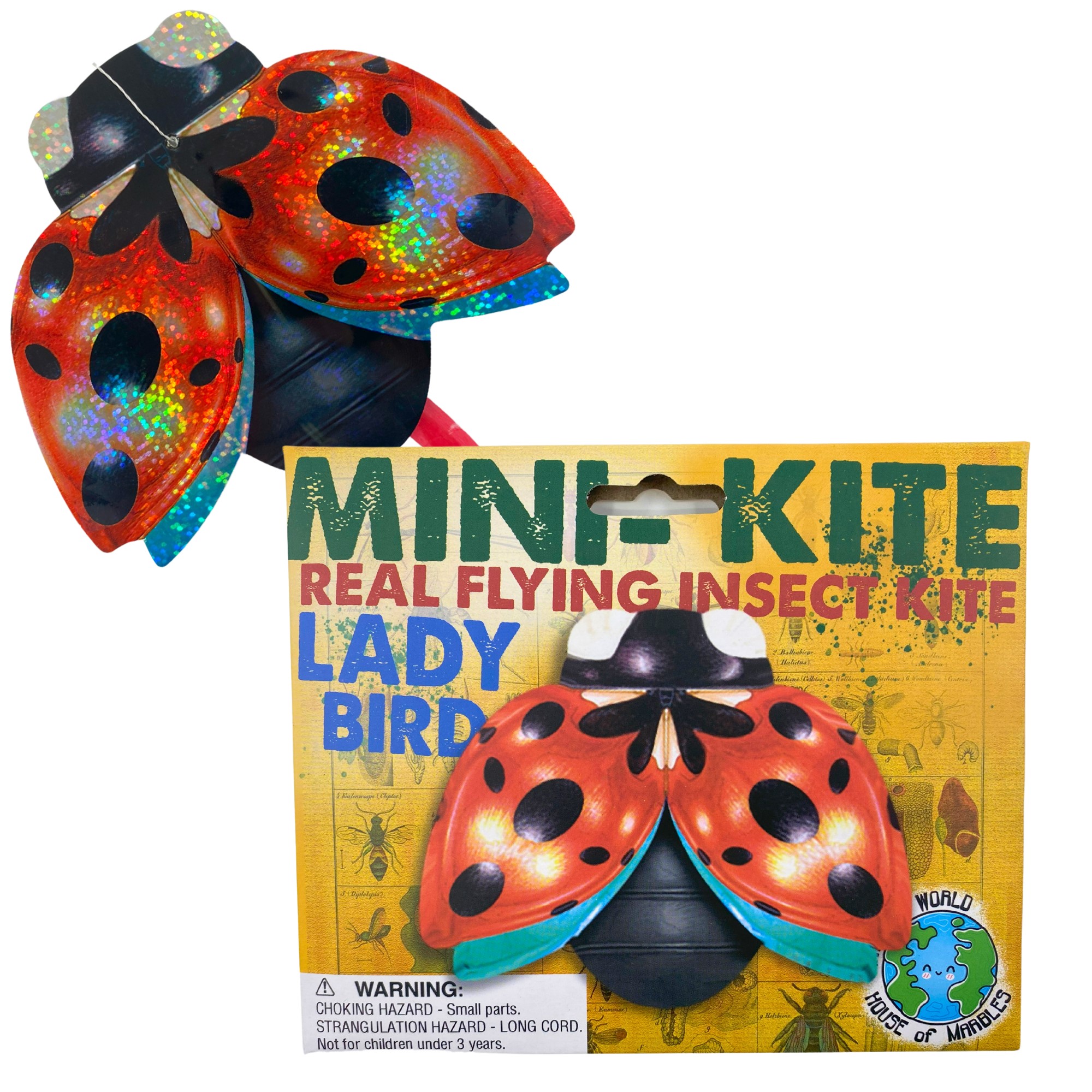 House Of Marbles Flying Insect Mini Kite