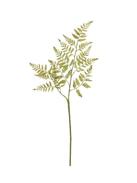samuel-baker-blooms-dryopteris-vert-faux-stem