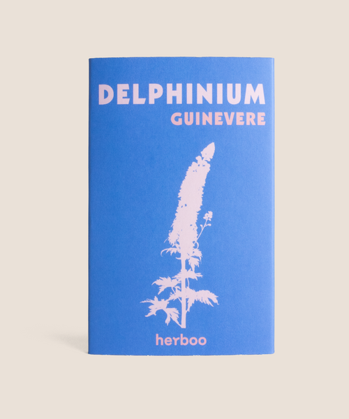 Herboo Delphinium ‘guinevere’ Seeds