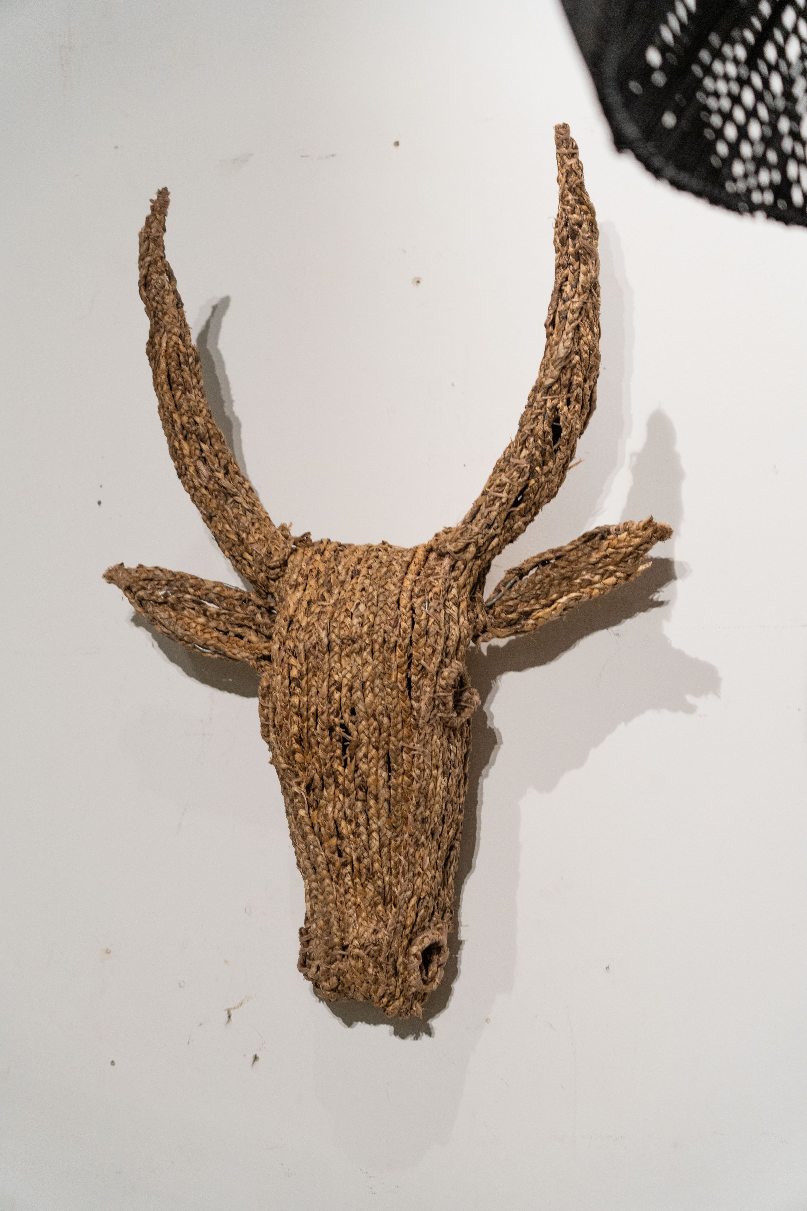 Botanical Boys Bull Jude Wall Sculpture