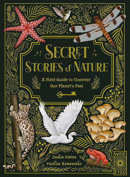 Beldi Maison Secret Stories Of Nature Book