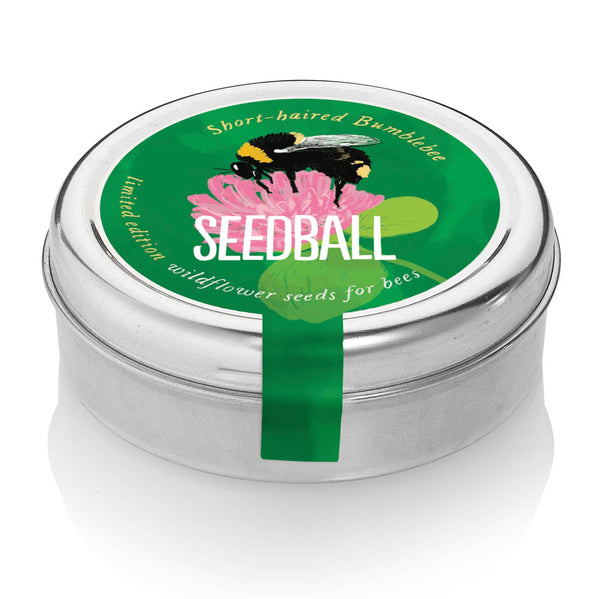 seedball Bumblebee Wildflower Tins: Green