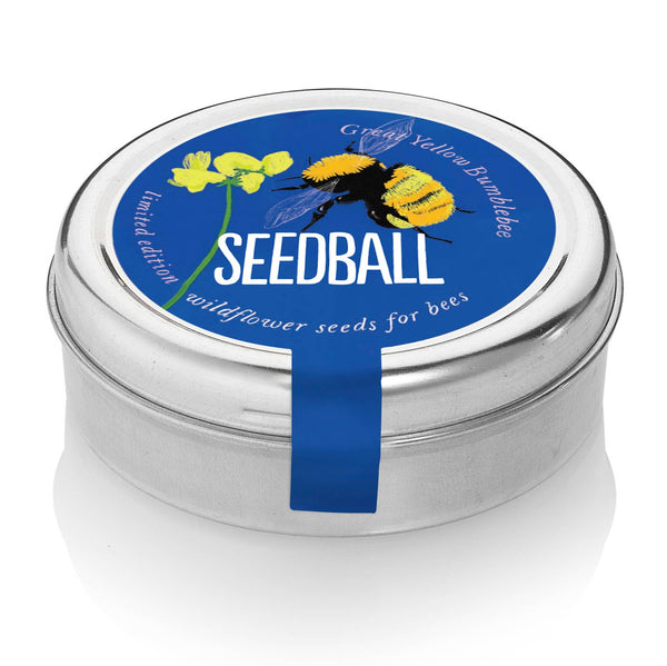seedball Bumblebee Wildflower Tins: Blue
