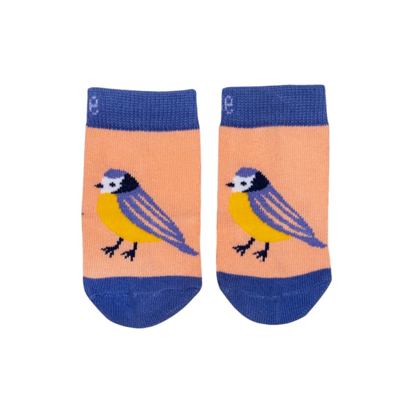 Blade & Rose Baby Socks Cotton Kind To Nature