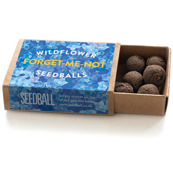 seedball Forget-Me-Not Box