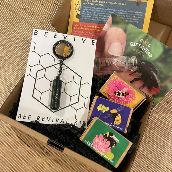Sprouts of Bristol The Bee Saviour Gift Set - Beevive Keyring and Wildflower Seeds
