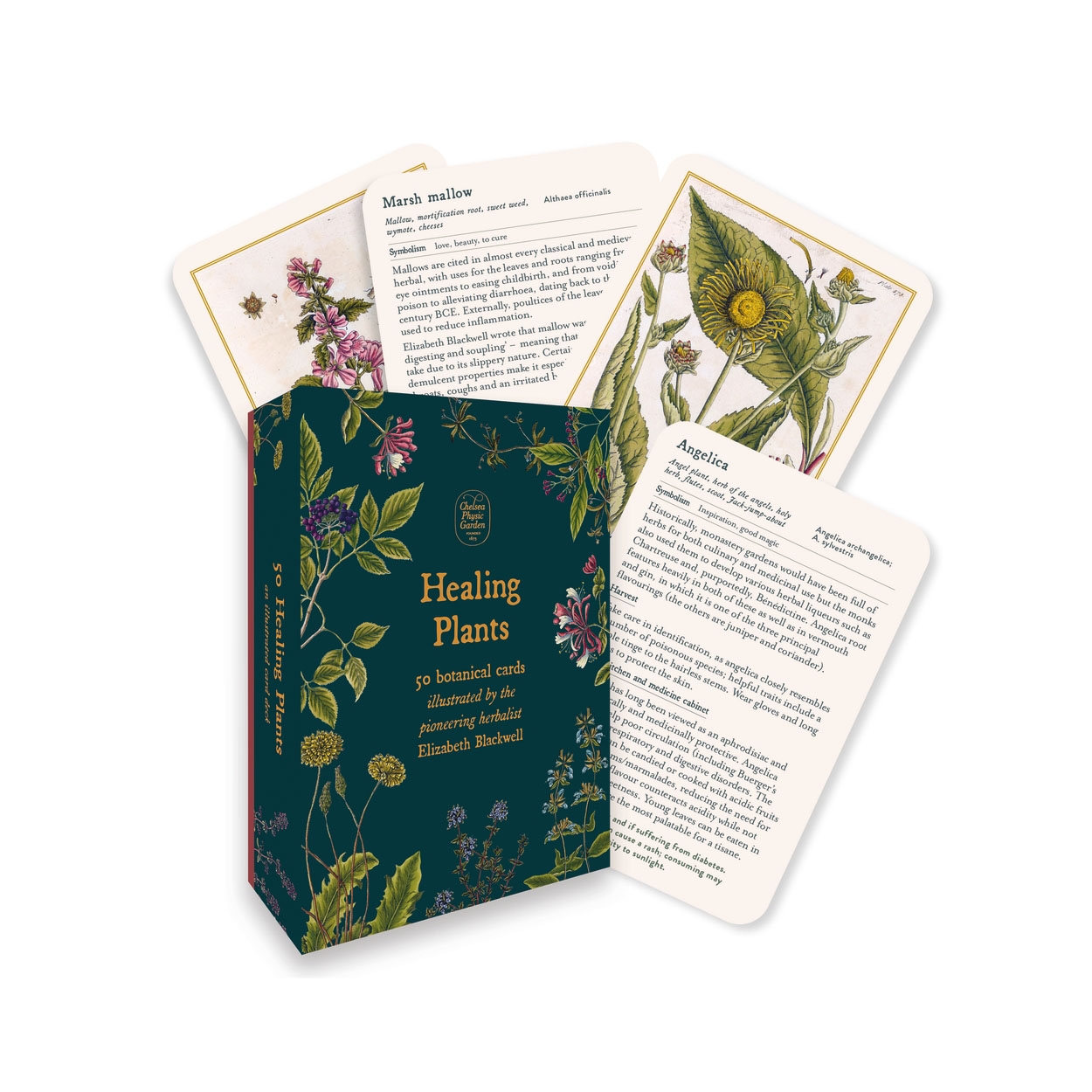 Healing Plants: 50 Botanical Cards