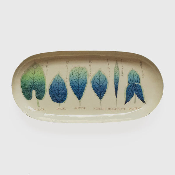 Roomy Town Enamel Printed Tray - Shapes Of Leaves