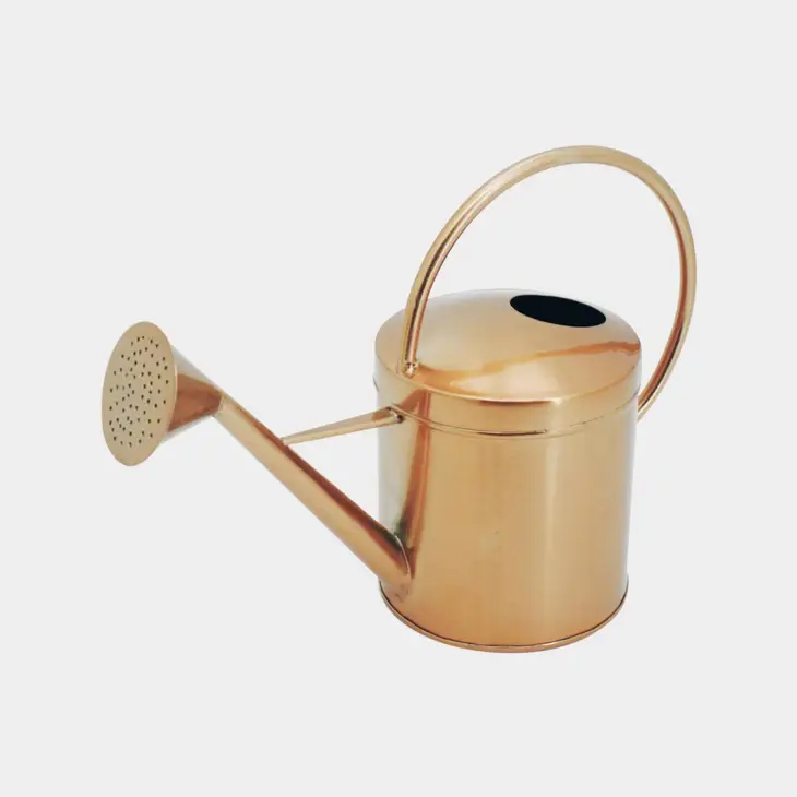 ivy-line-copper-kensington-traditional-watering-can