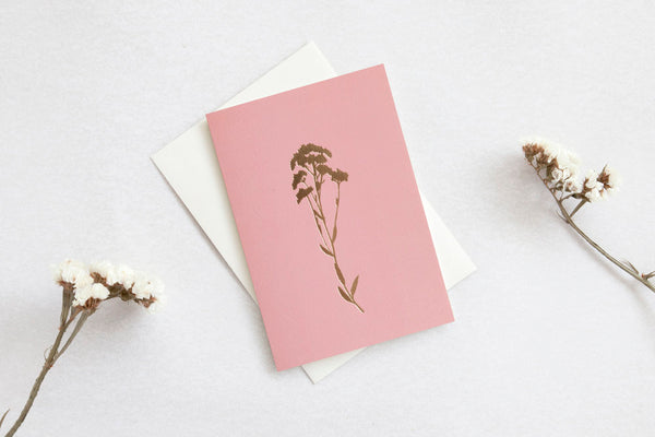 Ola Studios Alyssum Card Pink