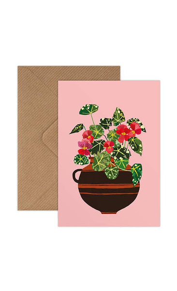 Brie Harrison  Begonia Greetings Card