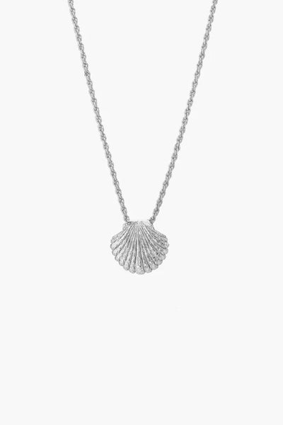 Tutti & Co Ne697s Shell Necklace Silver