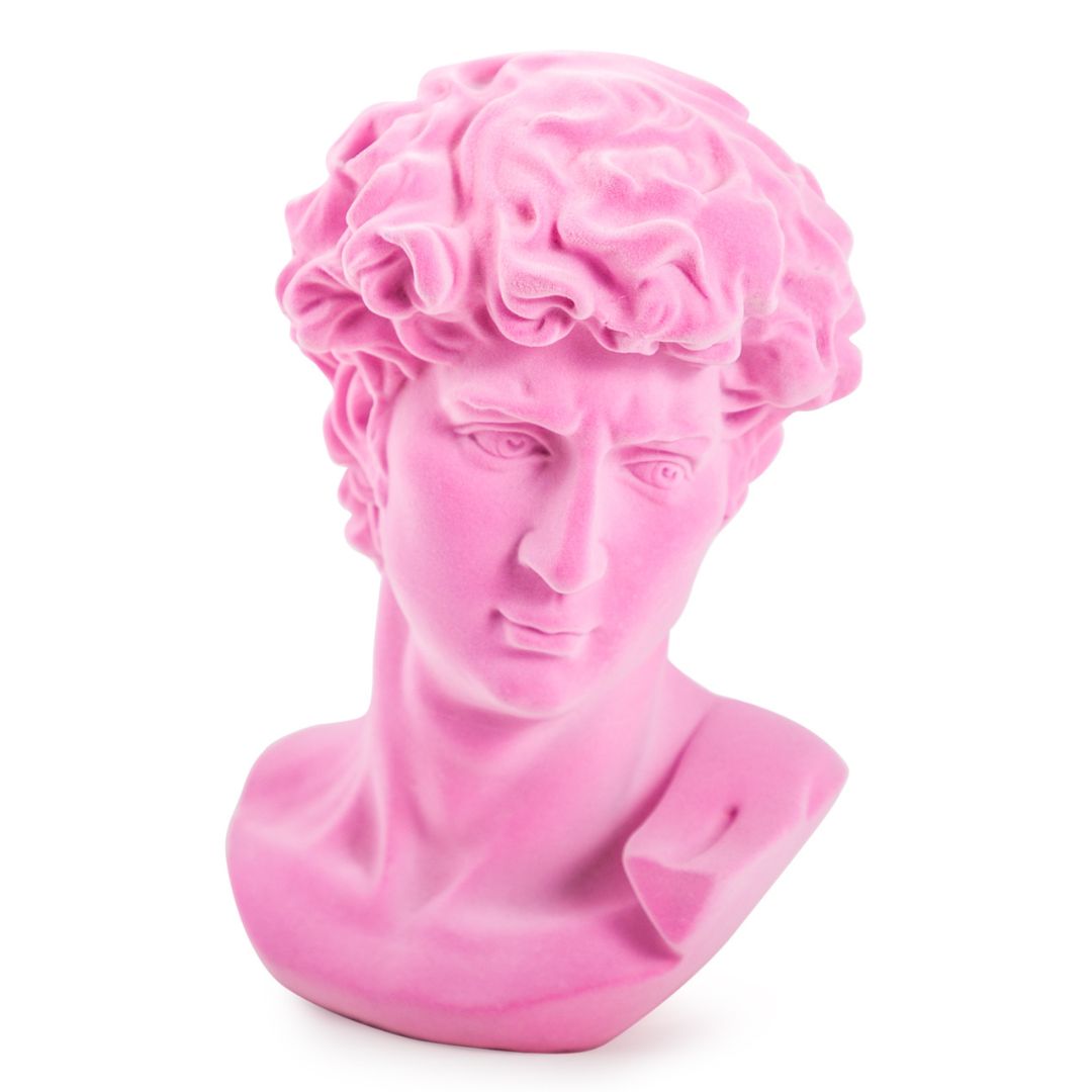 &Quirky Bright Pink Large David Flock Bust