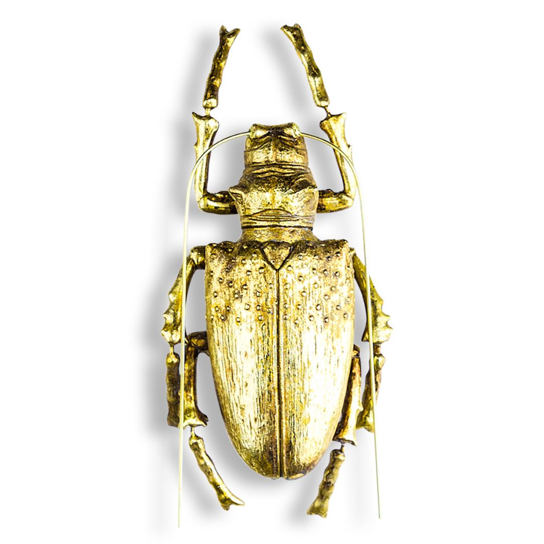 &Quirky Large Gold Beetle Wall Decoration