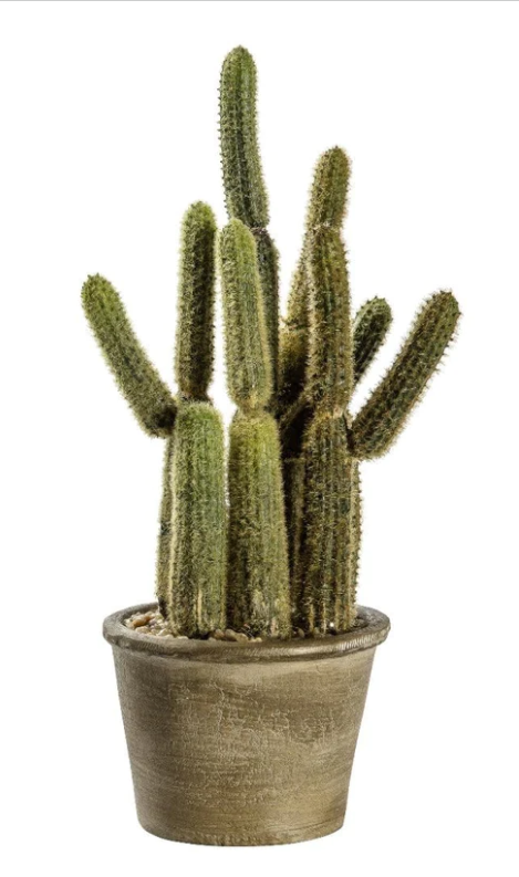 grace-and-grey-faux-cactus-carnegiea-large