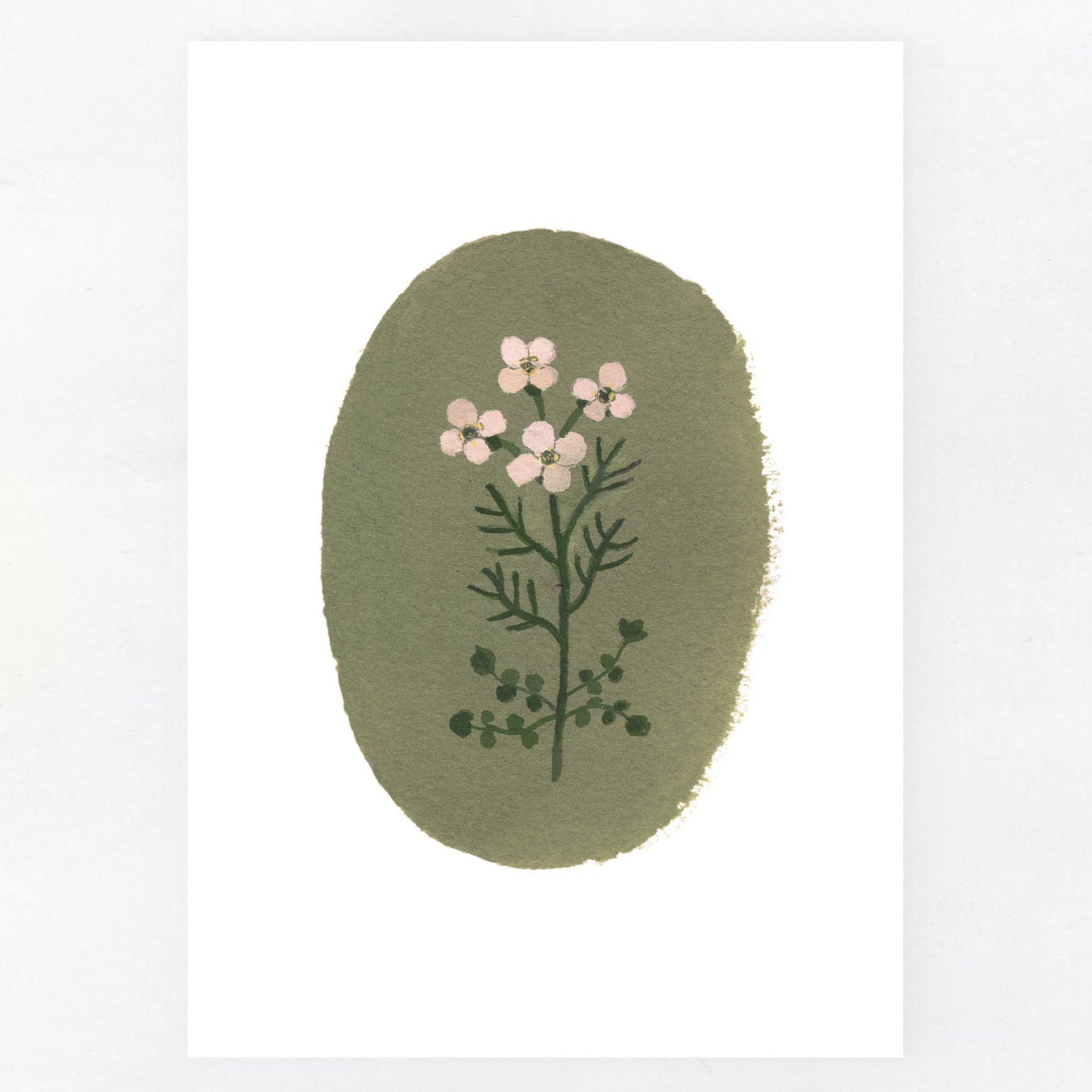 gemma-koomen-cuckoo-flower-a5-print