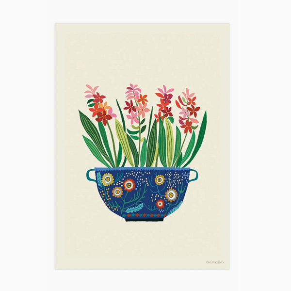 brie-harrison-hyacinths-a4-print