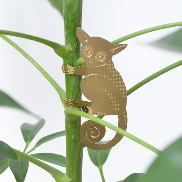 Another Studio  's Plant Animal - Bush Baby, Hanging Plant Decoration
