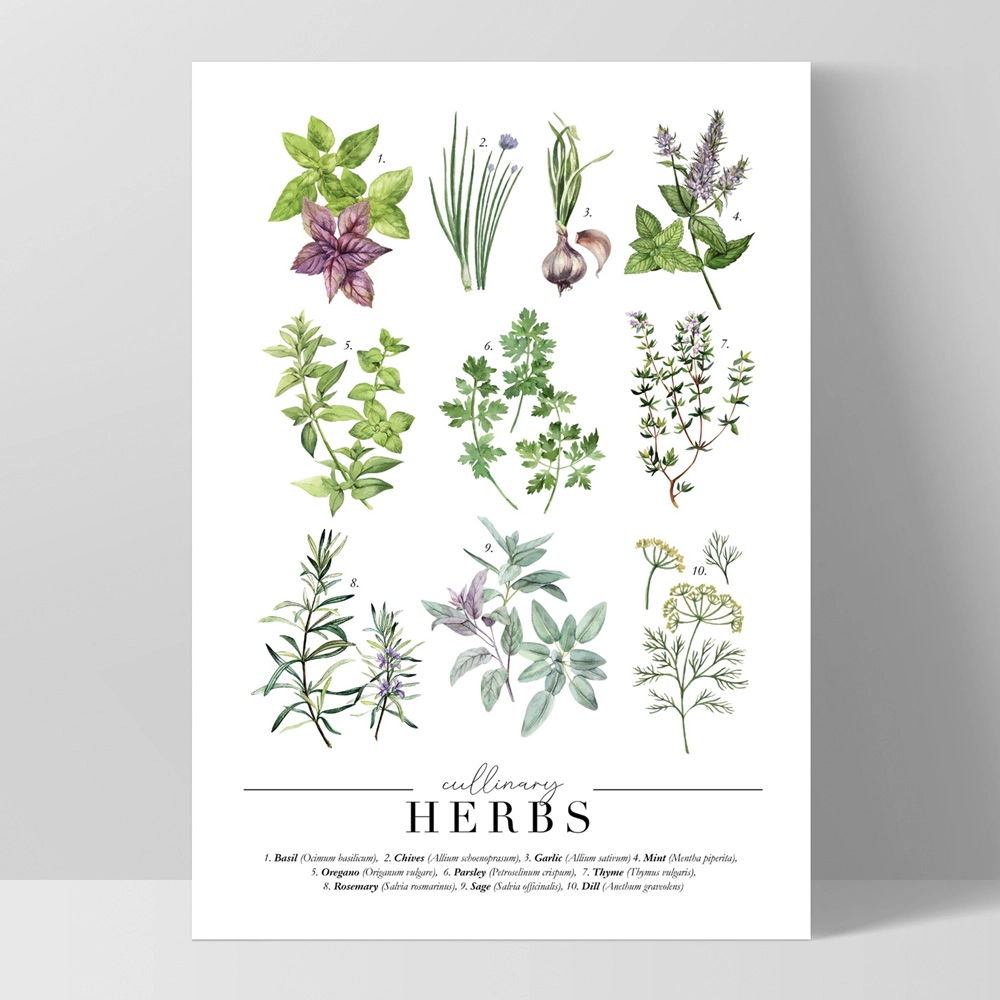Print & Proper 50 x 70cm Cullinary Herbs Kitchen Vintage Herbs Chart Framed Print