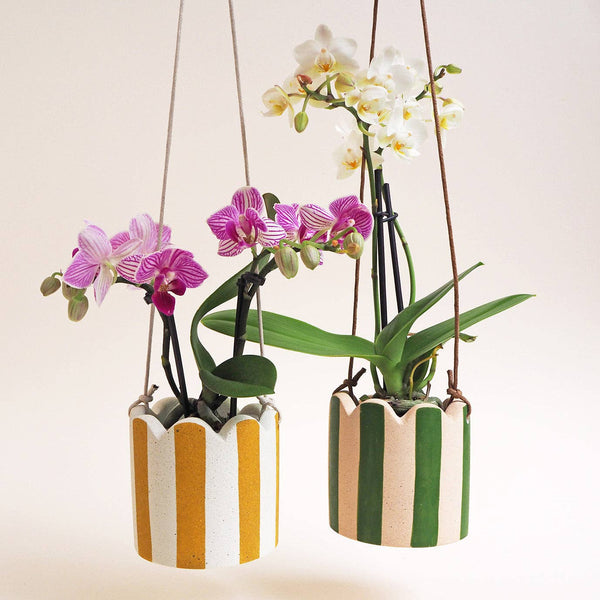 Hello Marilu Small Stripy Hanging Pot - Choose Your Colours: Warm White / Olive Green / Off White Cotton