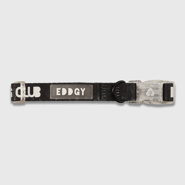 Eddgy Medium 100 Percent Recycled Bad Dog Club Dog Collar