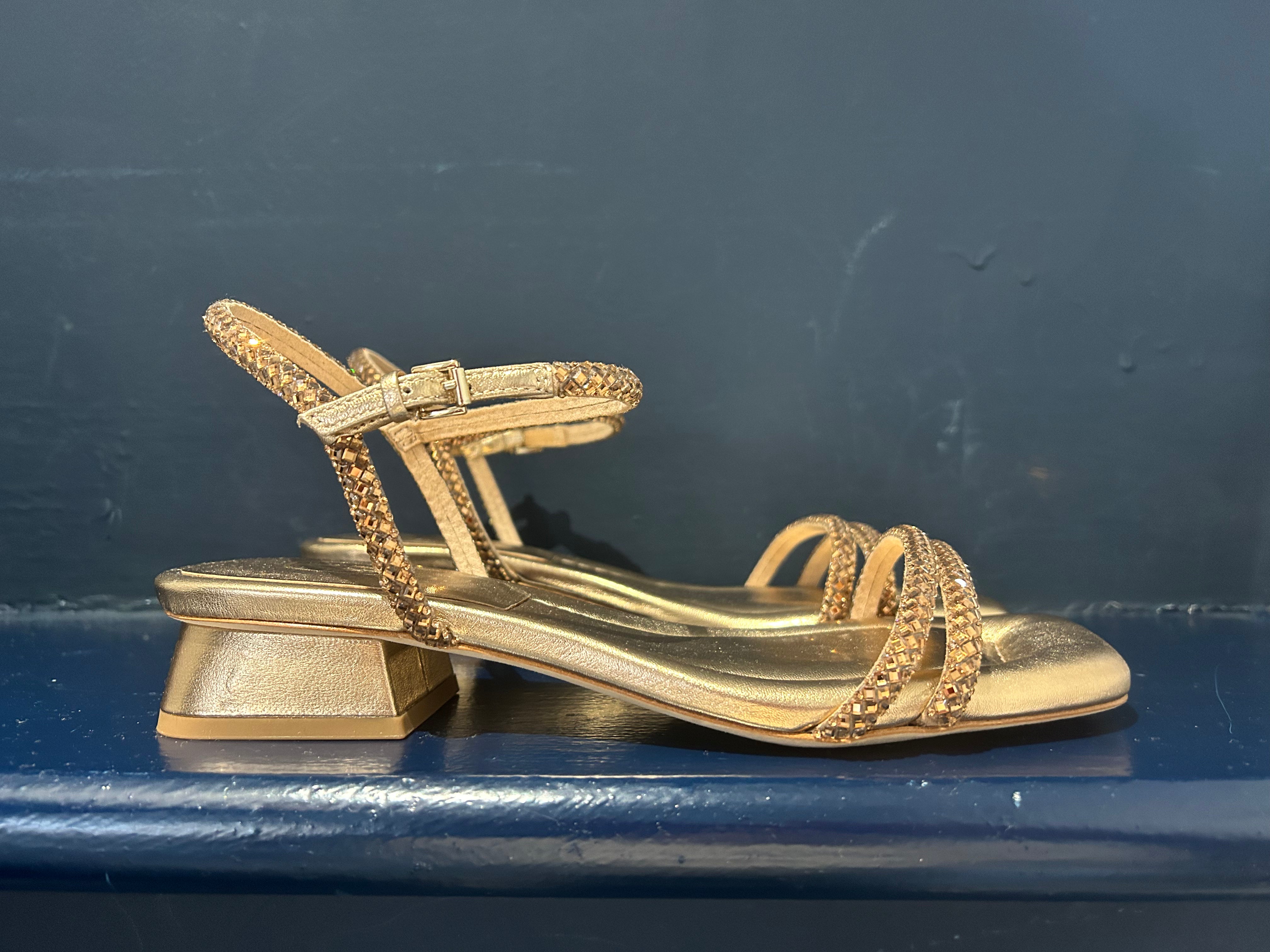 ash-icaro-sandal-in-gold