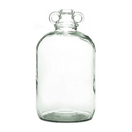 Eco Elegant Glass Demi-John Bottle Vessel / Vase [Terrarium Supplies]