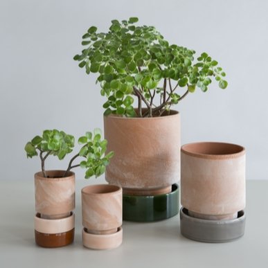 Bergs Potter Pot / 14 cm / Raw Terracotta Plant Pot & Saucer In Soft Rose