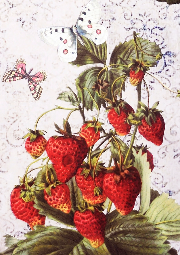 Diana Wilson Arcana Strawberries Greeting Card