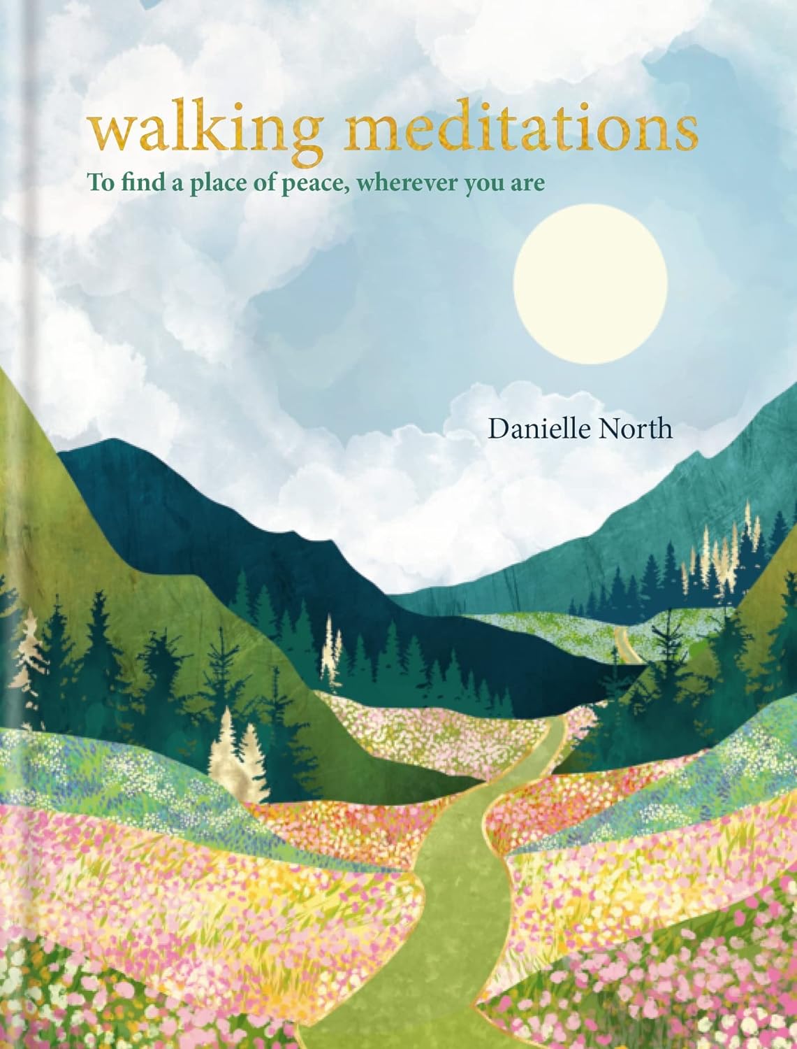 Danielle North Walking Meditation Book