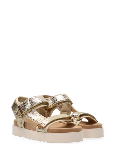 Maruti  Beau Leather Sandals In Gold