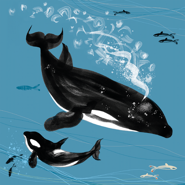 lydia-london-sea-our-oceans-orca-killer-whale-card