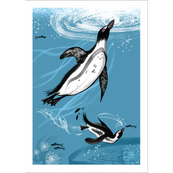 lydia-london-sea-our-oceans-a4-print-cape-penguin