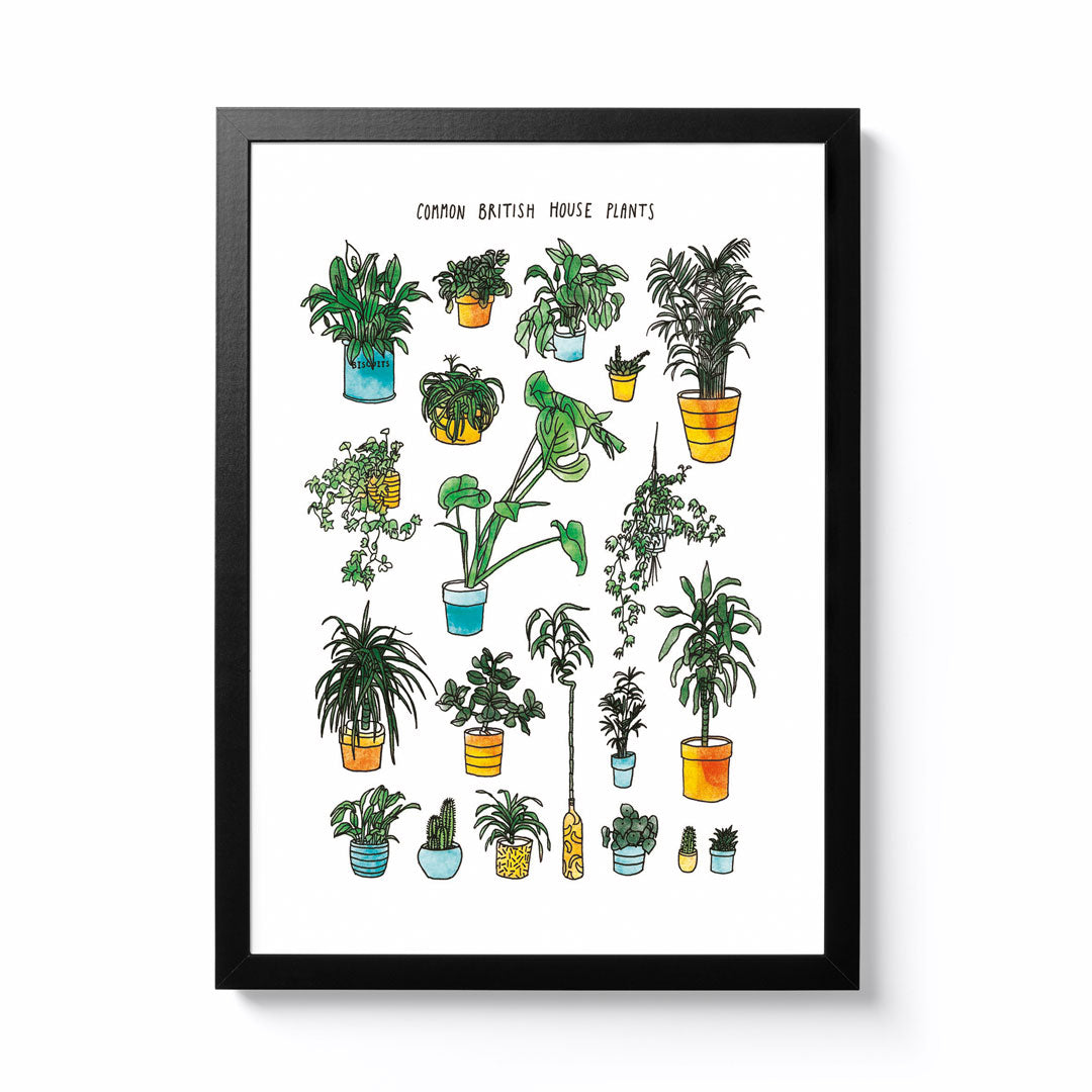 Big Suze A4 Common British House Plants Framed Print