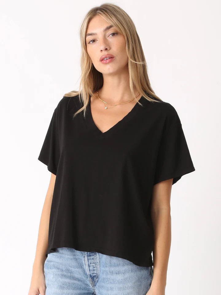 Electric & Rose Electric And Rose Nash Vneck Tee