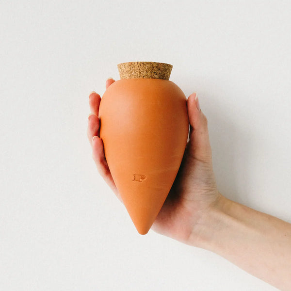 Pepin Terracotta Plant Hydrating Olla - Natural Plant Watering System
