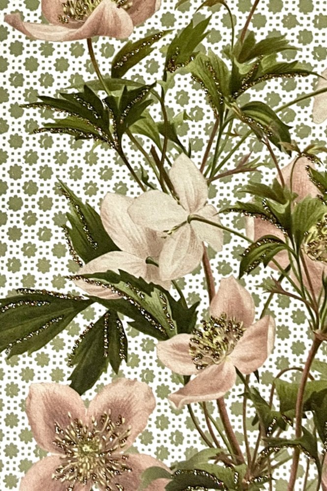 Vanilla Fly Apple Blossom Greeting Card