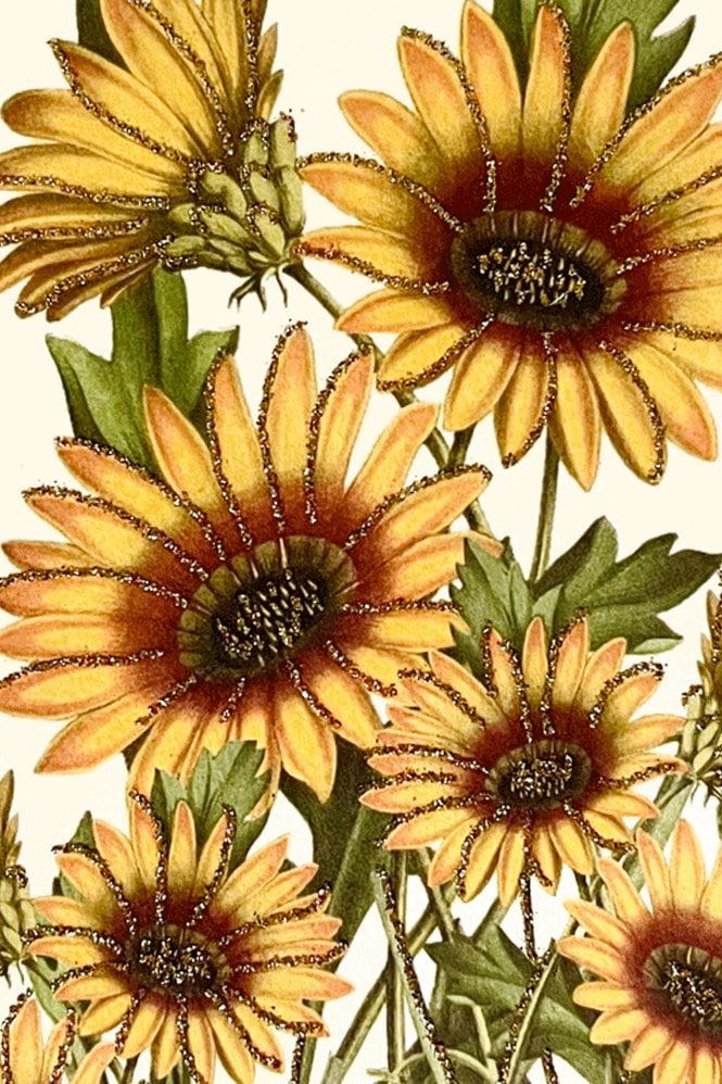Vanilla Fly Sunflowers Greeting Card