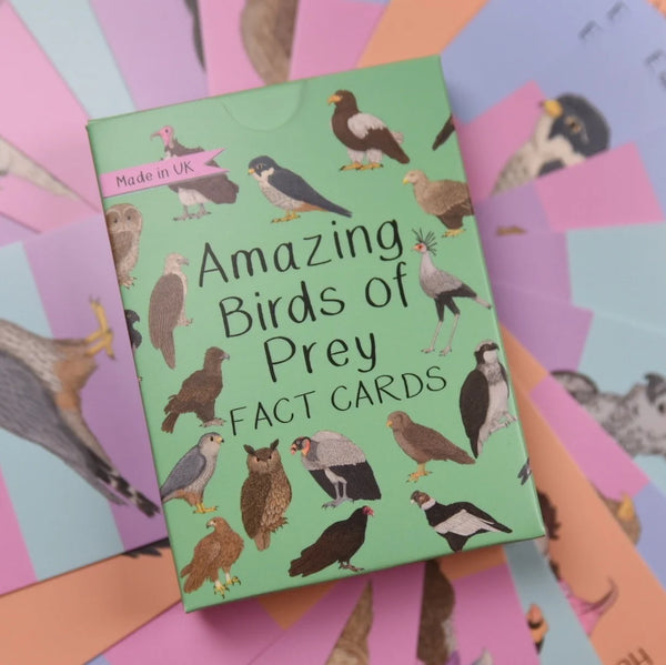 Button And Squirt : Amazing Birds Of Prey Fact Cards