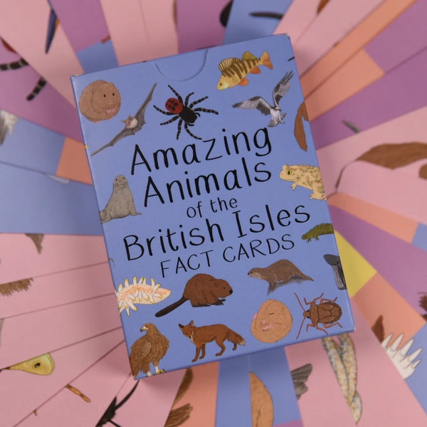 Button And Squirt : Amazing Animals Of The British Isles Fact Cards